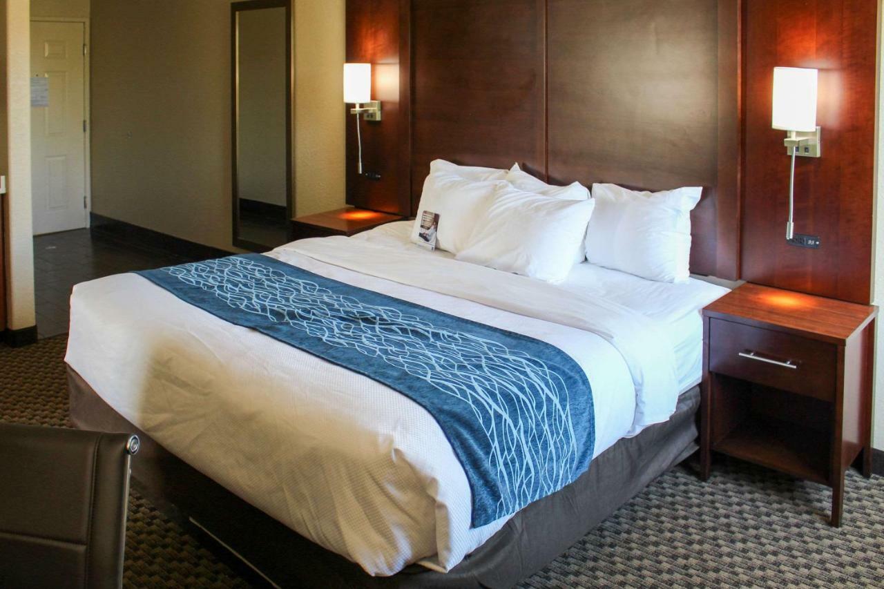 Comfort Inn & Suites Near Six Flags & Medical Center San Antonio Luaran gambar