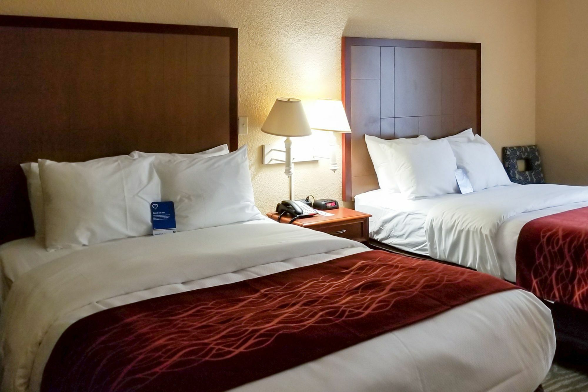 Comfort Inn & Suites Near Six Flags & Medical Center San Antonio Luaran gambar